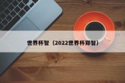 世界杯智（2022世界杯郑智）
