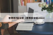 世界杯f组分析（世界杯分组2022）