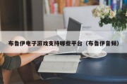 布鲁伊电子游戏支持哪些平台（布鲁伊音频）