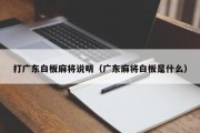 打广东白板麻将说明（广东麻将白板是什么）