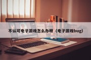 不认可电子游戏怎么办呀（电子游戏bug）