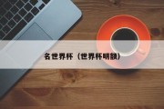 名世界杯（世界杯明额）