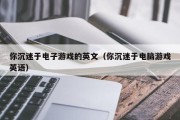 你沉迷于电子游戏的英文（你沉迷于电脑游戏英语）