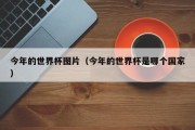 今年的世界杯图片（今年的世界杯是哪个国家）