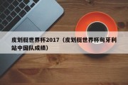 皮划艇世界杯2017（皮划艇世界杯匈牙利站中国队成绩）