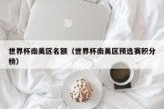 世界杯南美区名额（世界杯南美区预选赛积分榜）