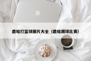 鹿晗打篮球图片大全（鹿晗踢球比赛）