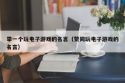 举一个玩电子游戏的名言（赞同玩电子游戏的名言）
