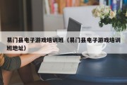 易门县电子游戏培训班（易门县电子游戏培训班地址）