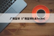 .广西篮球（广西篮球队进入CBA）