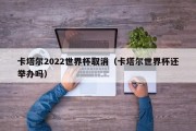 卡塔尔2022世界杯取消（卡塔尔世界杯还举办吗）