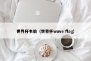 世界杯韦伯（世界杯wave flag）